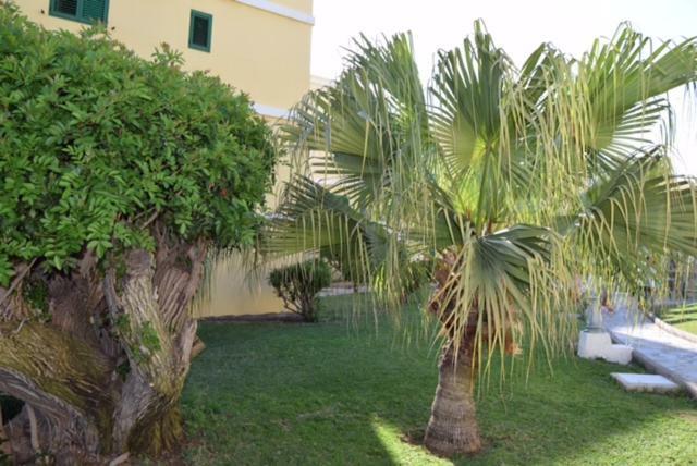 Tara Apartment Playa del Inglés Exteriér fotografie